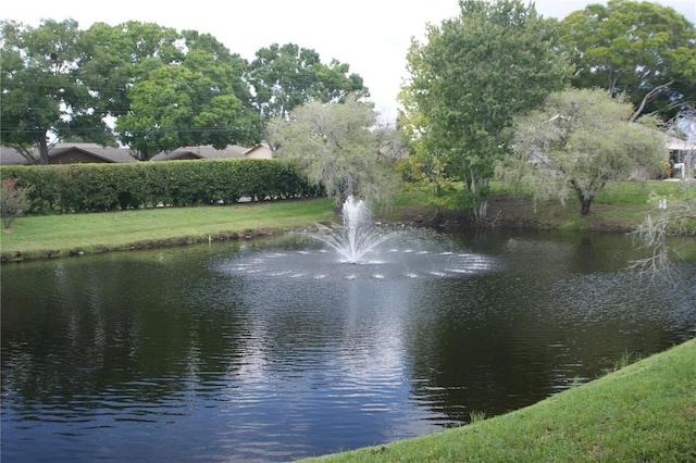 property view of water