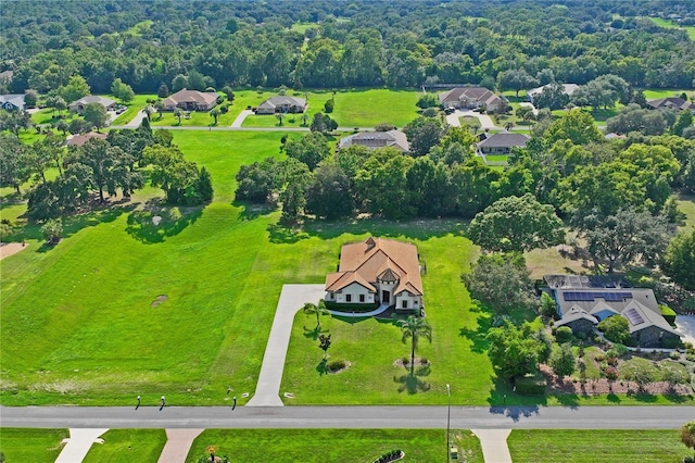 aerial view