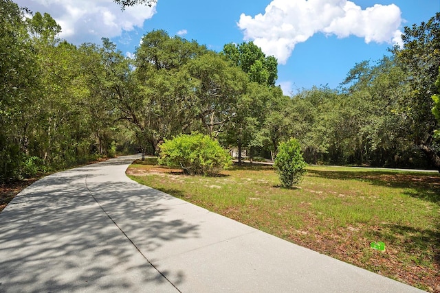 view of community featuring a lawn