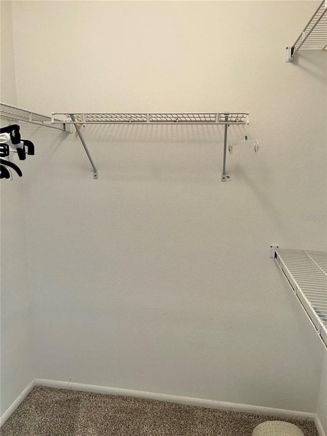 4713 Tiburon Dr, New Port Richey, FL 34655 - walk in closet featuring carpet