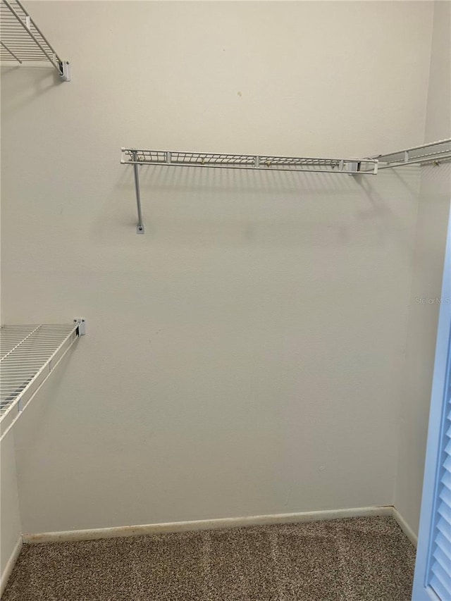 4713 Tiburon Dr, New Port Richey, FL 34655 - spacious closet with carpet flooring