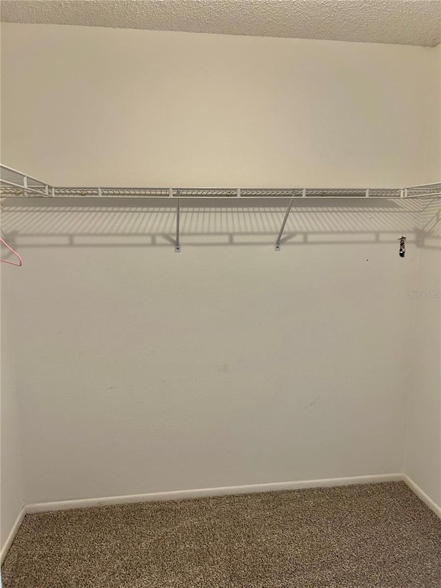 4713 Tiburon Dr, New Port Richey, FL 34655 - spacious closet with carpet flooring