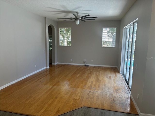 spare room with ceiling fan, light hardwood / wood-style flooring, and a wealth of natural light