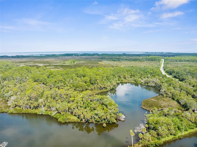 Listing photo 2 for 0 Marys Fish Camp Rd, Spring Hill FL 34607