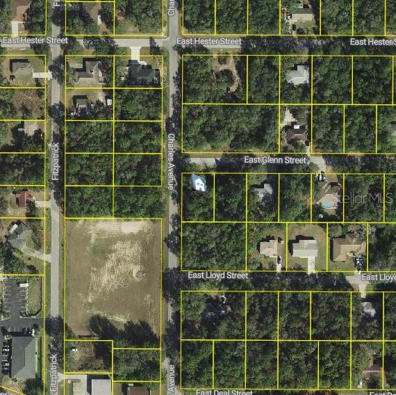 3022 E Glenn St, Inverness FL, 34453 land for sale