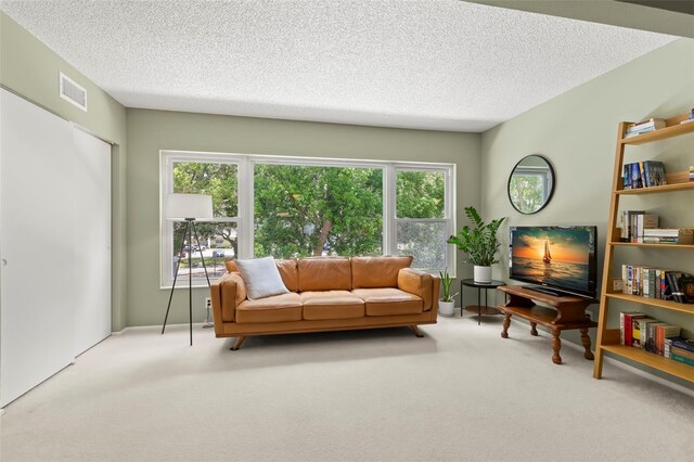 carpeted living room with a textured ceiling and plenty of natural light