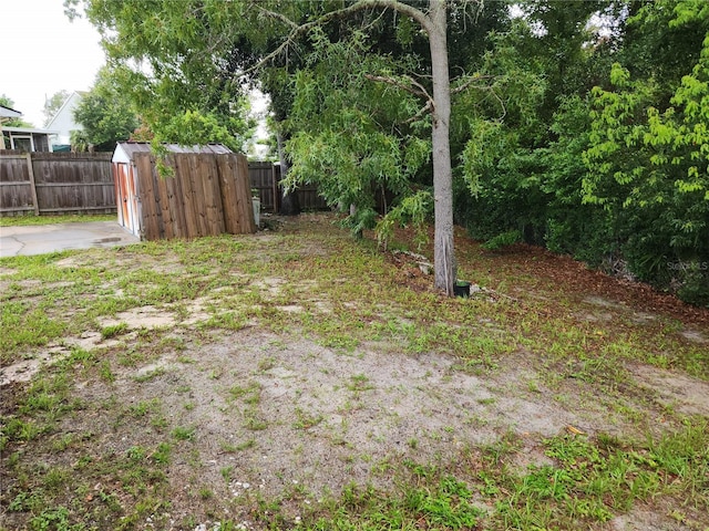 view of yard featuring a shed