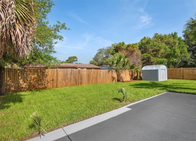 view of yard with a patio and a shed