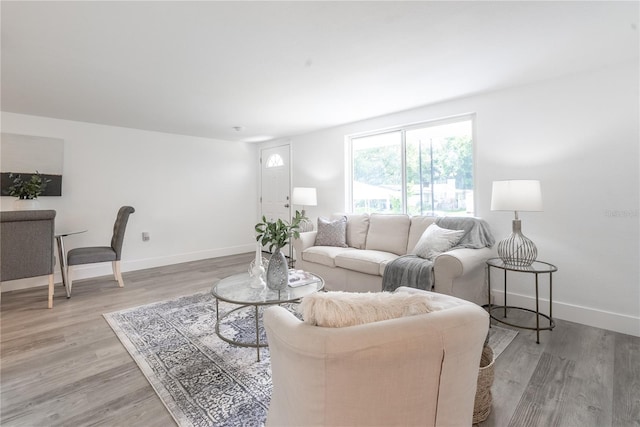 living room with light wood-type flooring