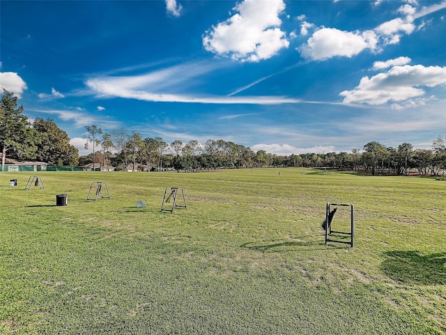 view of community with a yard