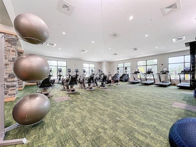 gym featuring carpet