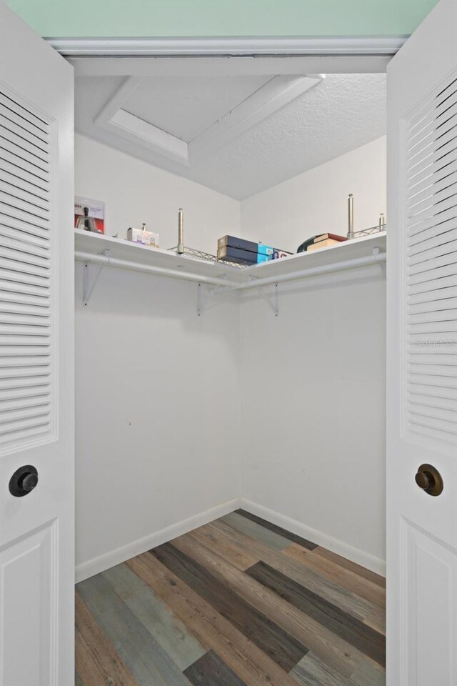 spacious closet with dark wood-type flooring