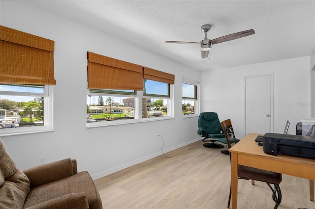 home office featuring ceiling fan, light hardwood / wood-style flooring, and a textured ceiling