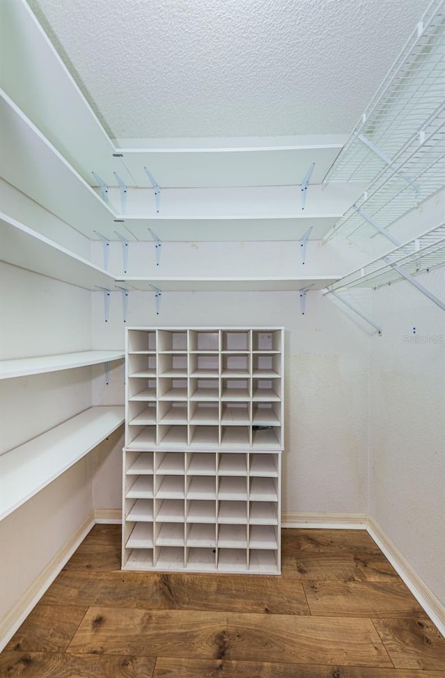 walk in closet with dark hardwood / wood-style flooring