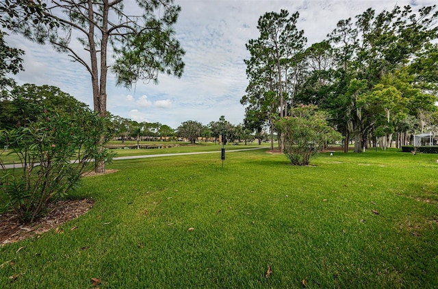 view of home's community featuring a yard