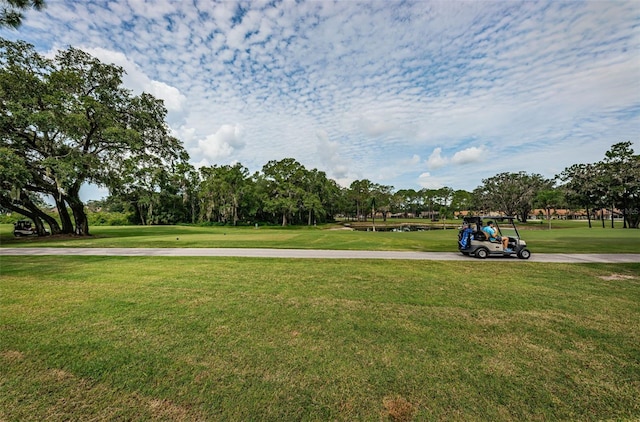 view of property's community with a yard