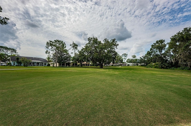 view of yard