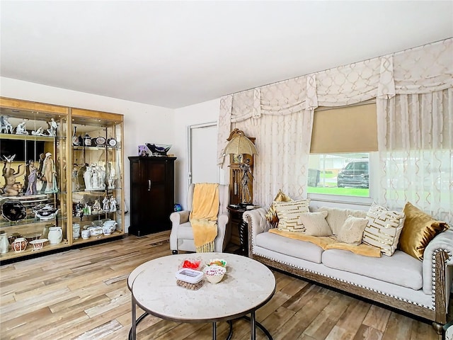 living room with wood finished floors