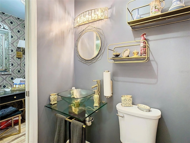 bathroom with a sink and toilet