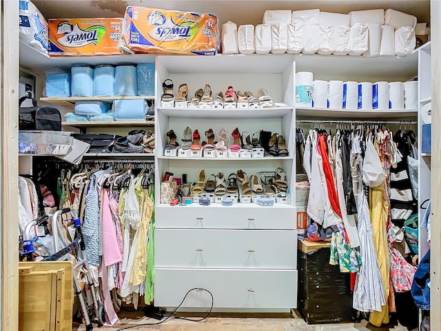 view of spacious closet