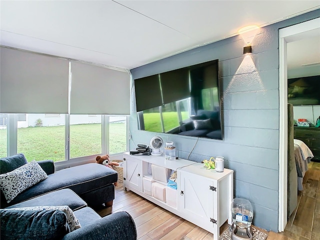 living area with light wood-style floors