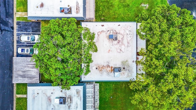 bird's eye view