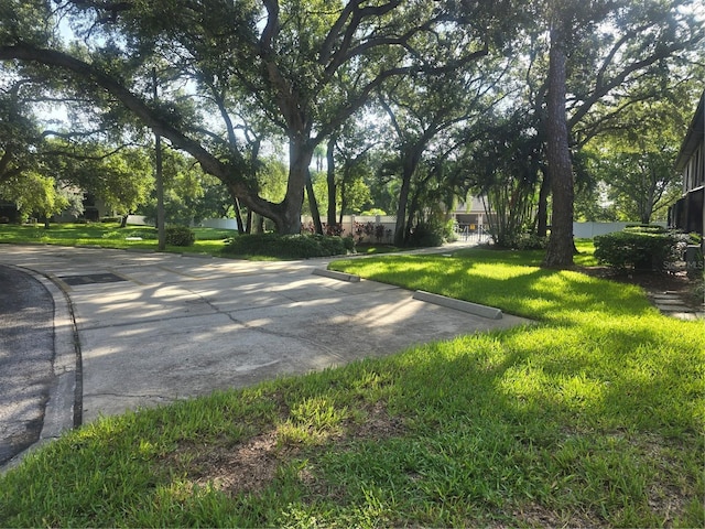 view of home's community with a yard