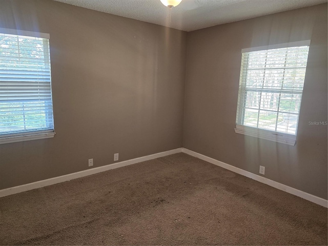 unfurnished room with a wealth of natural light, carpet flooring, and a textured ceiling