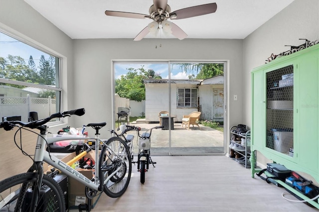 exercise room featuring hardwood / wood-style flooring and ceiling fan