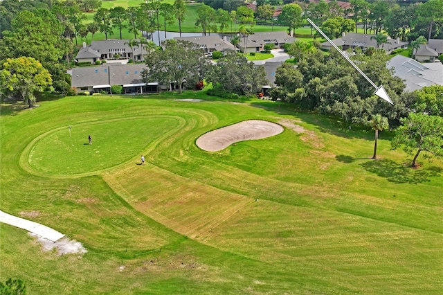 view of community featuring a yard