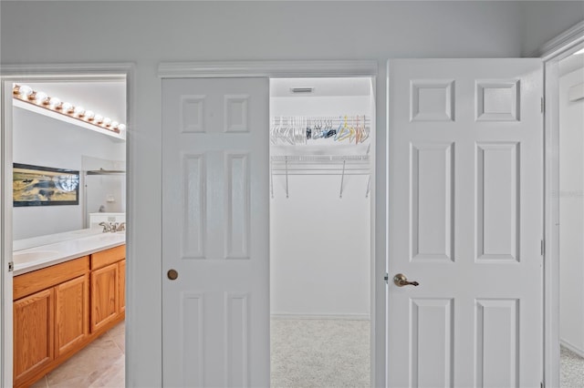 closet with sink