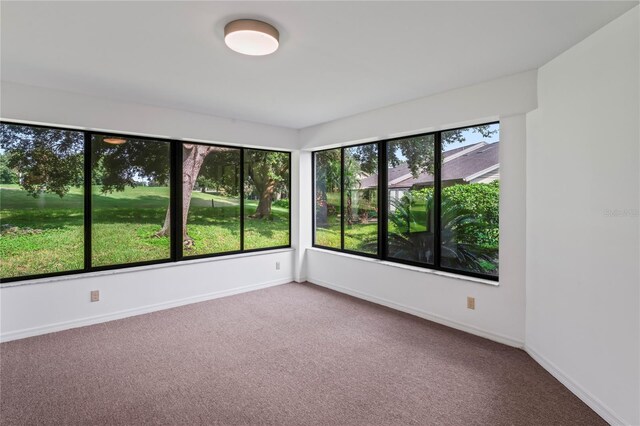 spare room featuring carpet