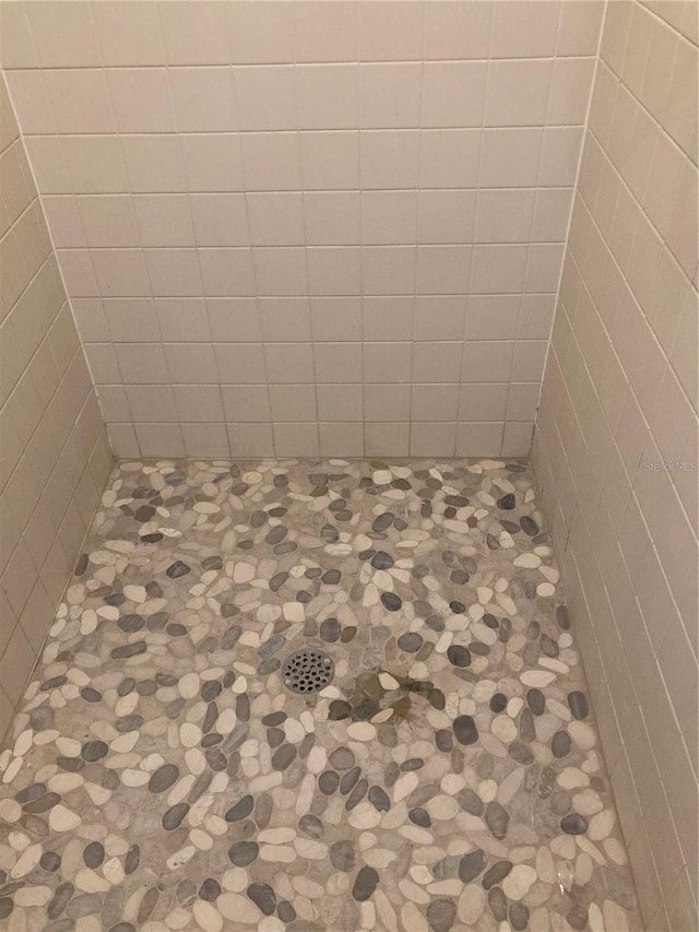 room details with a tile shower