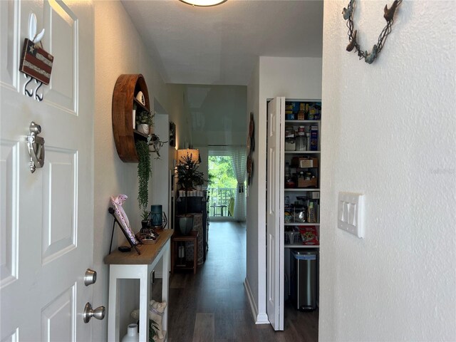 hallway with dark hardwood / wood-style floors