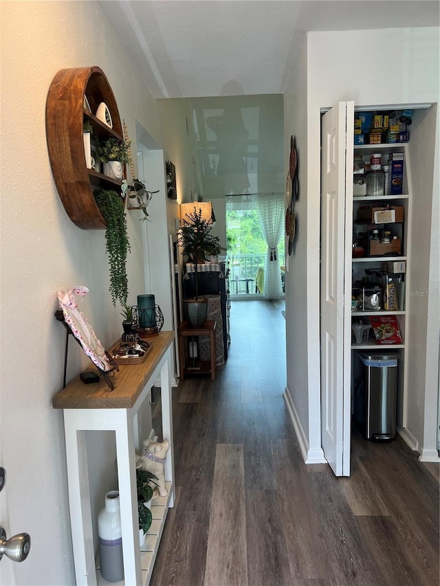 hallway with dark hardwood / wood-style floors