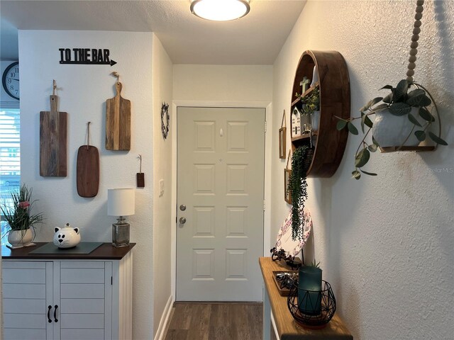 entrance foyer featuring dark wood-type flooring