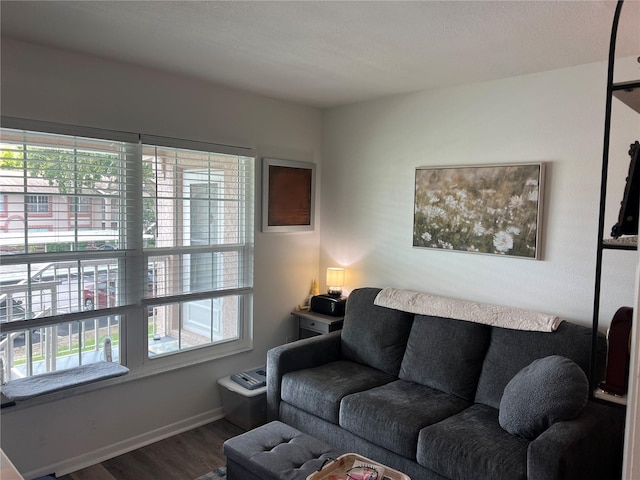 living room featuring a healthy amount of sunlight and hardwood / wood-style floors