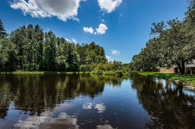 property view of water