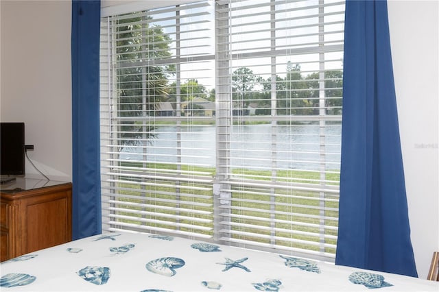 bedroom featuring multiple windows