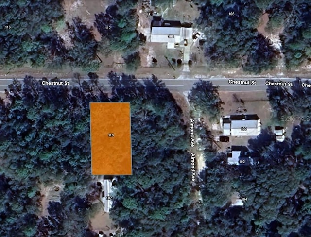 113 Chestnut St, Interlachen FL, 32148 land for sale