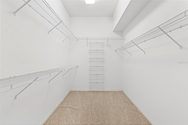 walk in closet with carpet flooring