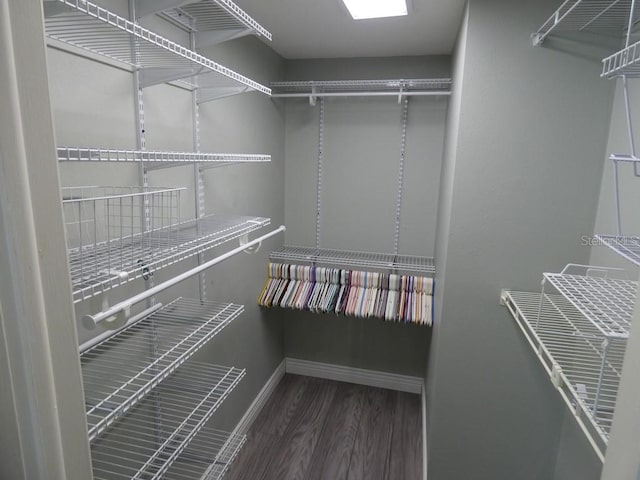 spacious closet featuring wood-type flooring