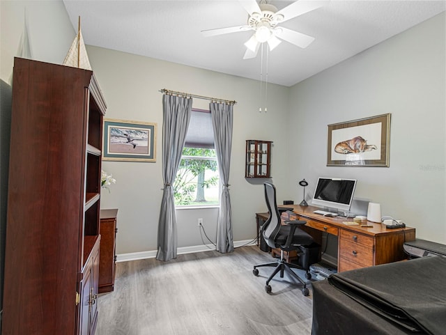 office space with ceiling fan and light hardwood / wood-style flooring