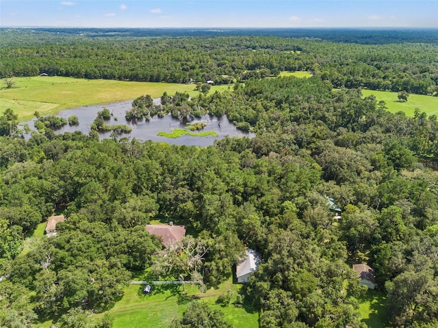 bird's eye view featuring a water view and a wooded view