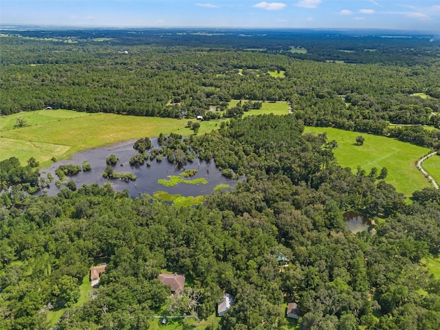 birds eye view of property with a forest view