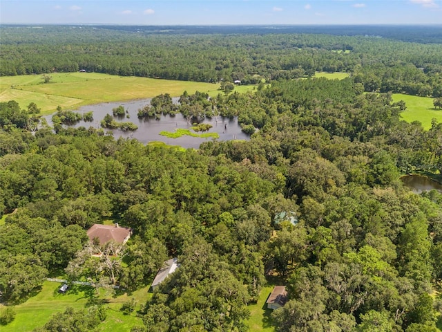 birds eye view of property featuring a water view and a forest view