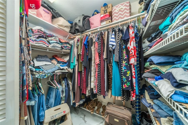 view of spacious closet