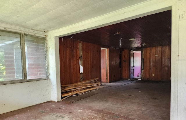 interior space with wooden walls