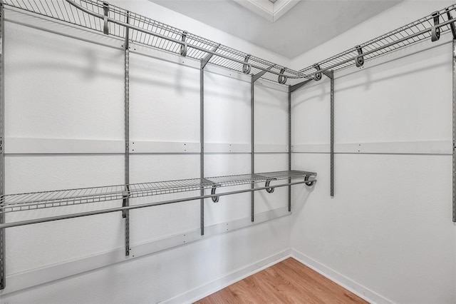 walk in closet featuring wood-type flooring