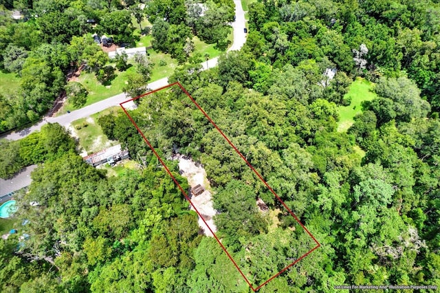 aerial view with a forest view